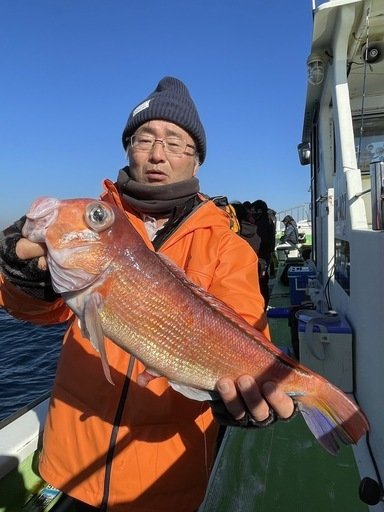 アマダイ(アカアマダイ)