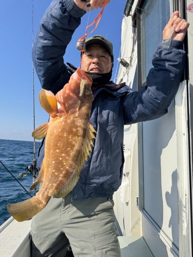 アコウ(キジハタ)