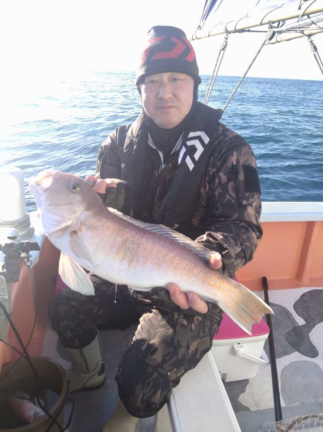 船釣り用です、70店以上あります、合計27,000円以上です、又何かプラスします 2025年9月24日(水)の波止 磯 釣果報告 | 山陰 島根県浜田市 浜田港発着