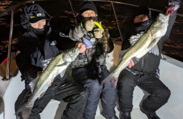 シーバス(スズキ)・メバル