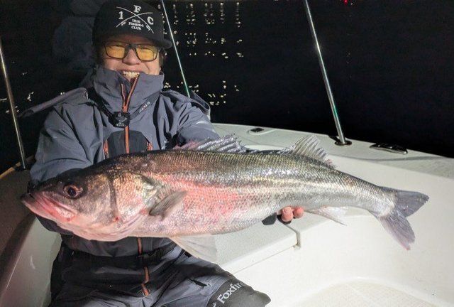 シーバス(スズキ)