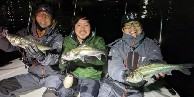 シーバス(スズキ)