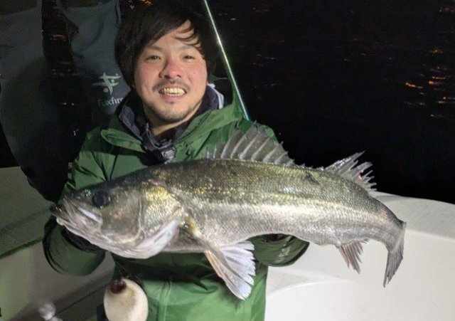 シーバス(スズキ)