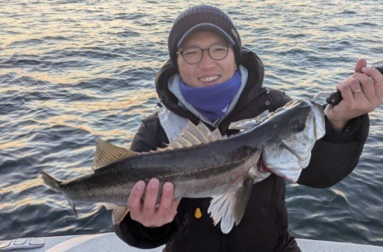 シーバス(スズキ)