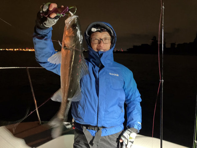 シーバス(スズキ)