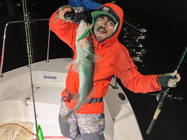 シーバス(スズキ)