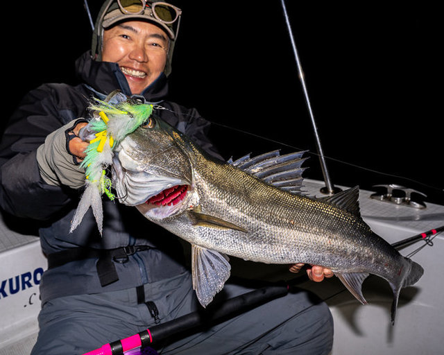 シーバス(スズキ)