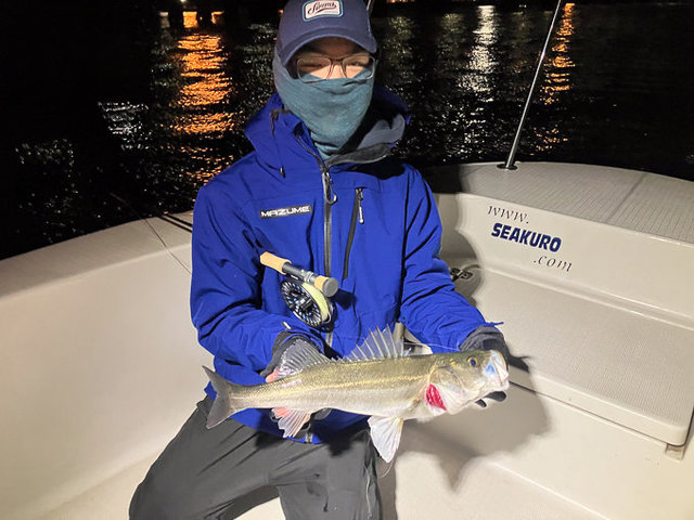 シーバス(スズキ)