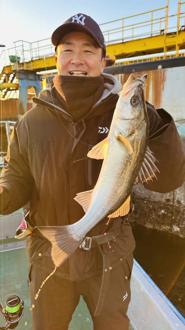 シーバス(スズキ)