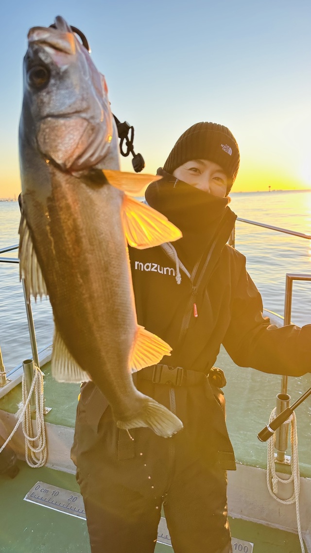 シーバス(スズキ)