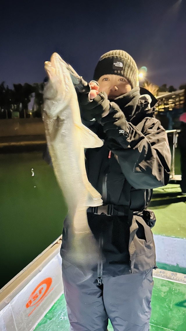 シーバス(スズキ)