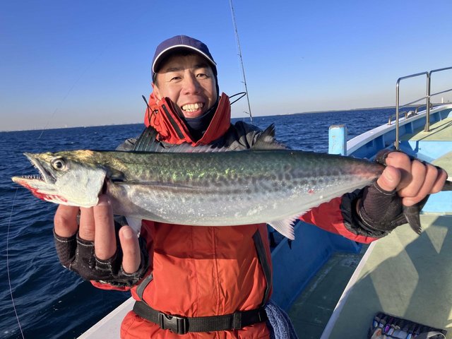 サゴシ(サワラ)