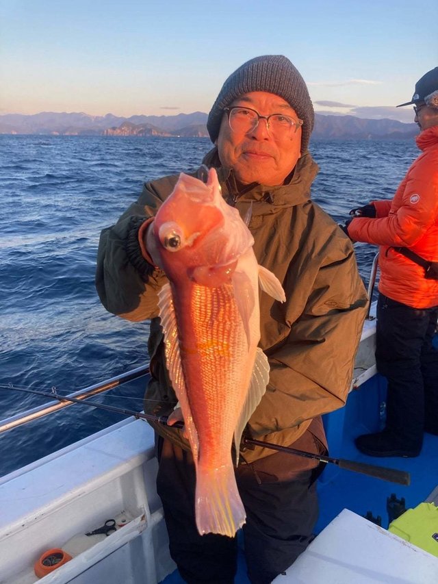 アマダイ(アカアマダイ)