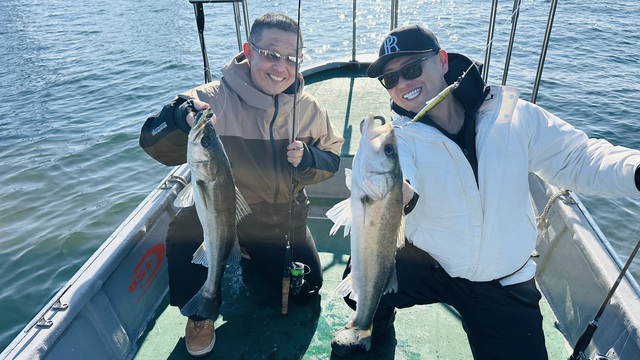 シーバス(スズキ)