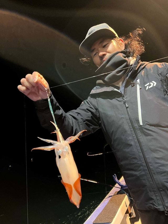 マルイカ(ケンサキイカ)