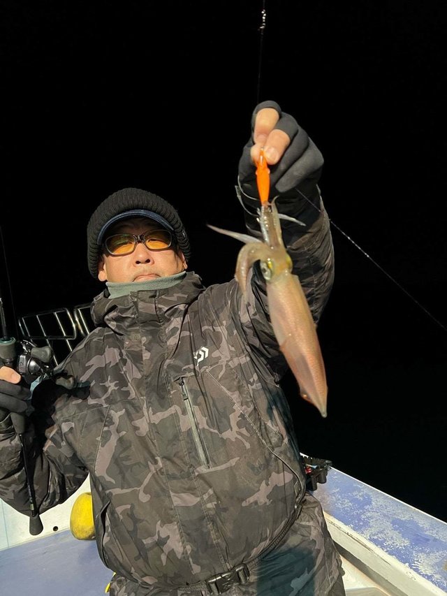 マルイカ(ケンサキイカ)