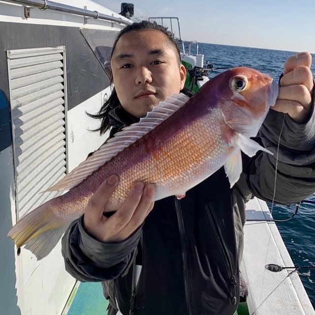 アマダイ(アカアマダイ)