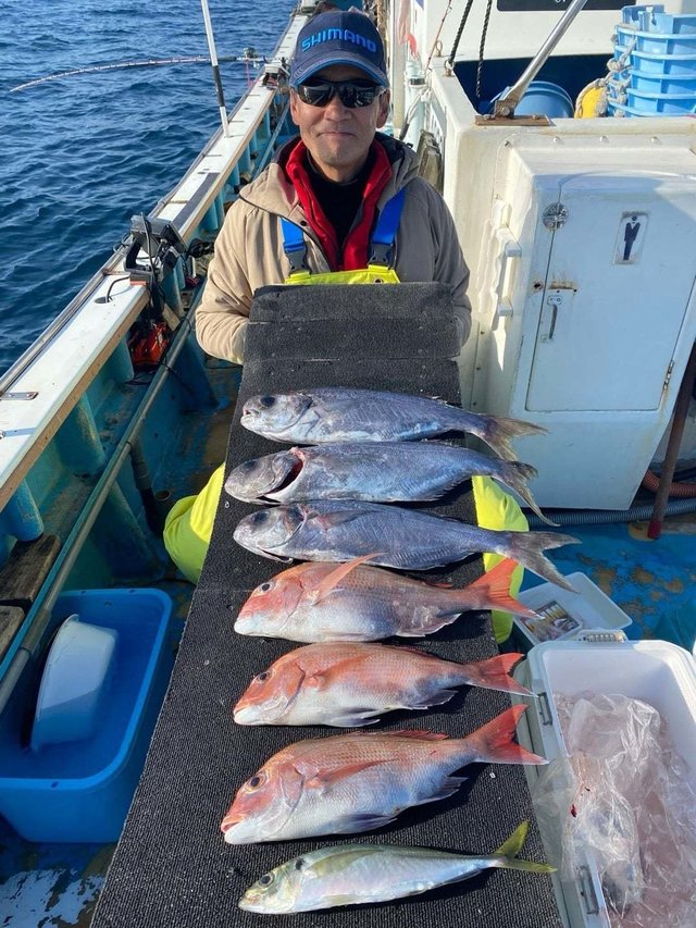 マダイ・アジ(マアジ)・メダイ