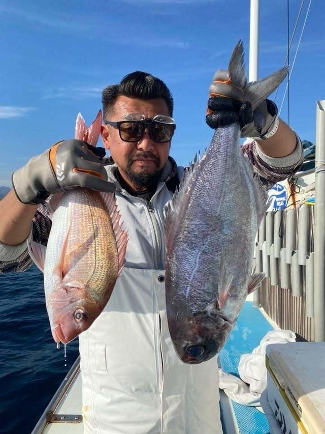 マダイ・メダイ