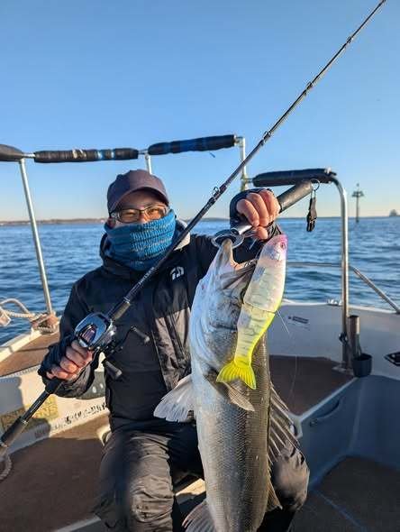 シーバス(スズキ)