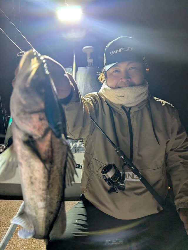 シーバス(スズキ)