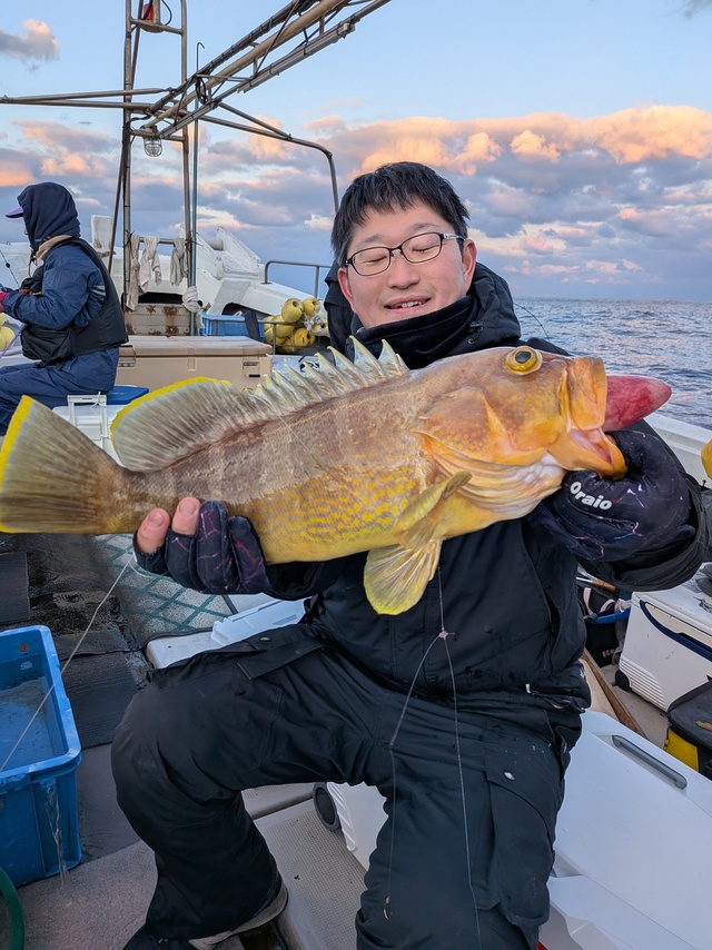 アオナ(アオハタ)