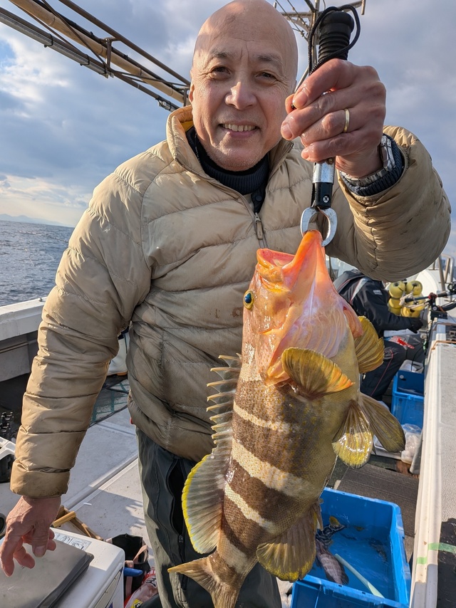 アオナ(アオハタ)