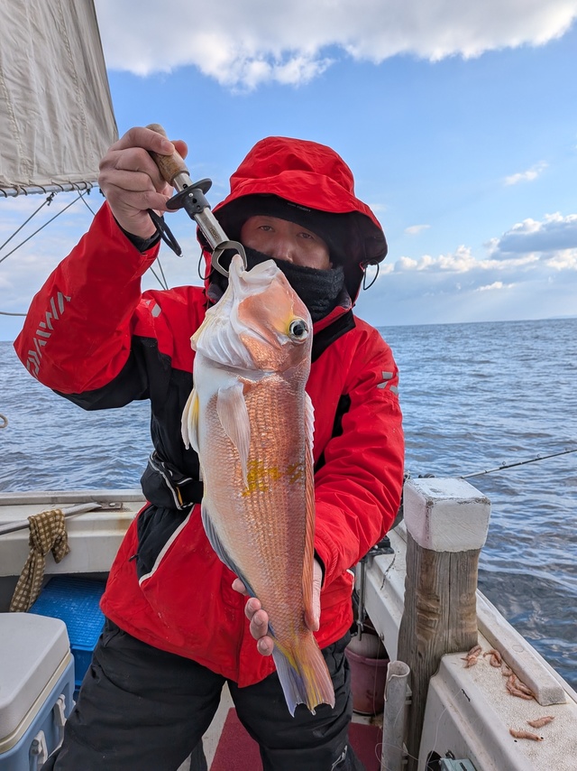 アマダイ(アカアマダイ)