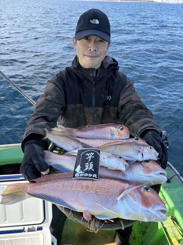 アマダイ(アカアマダイ)