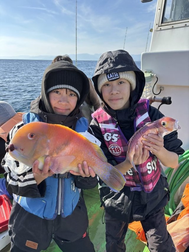 アマダイ(アカアマダイ)・イラ