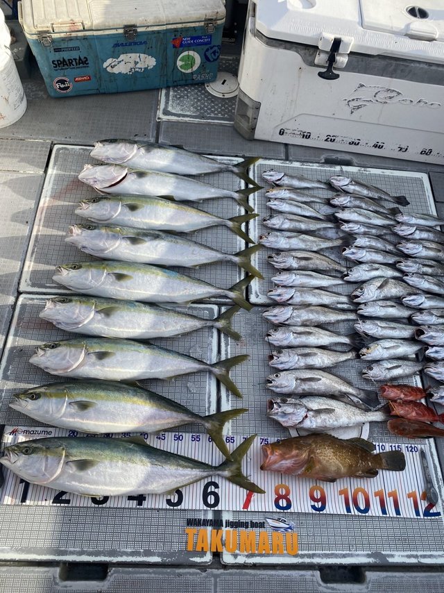 キジハタ・ハマチ(ブリ)・メジロ(ブリ)・カサゴ・ホウボウ・クログチ