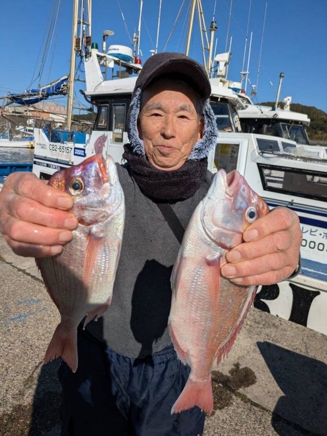 ハナダイ(チダイ)