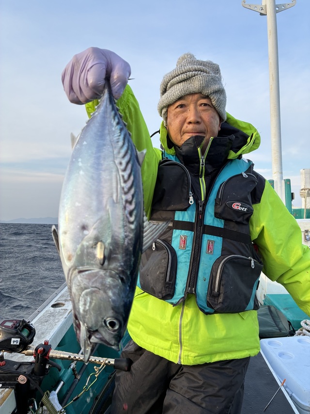 ヤイトガツオ(スマ)