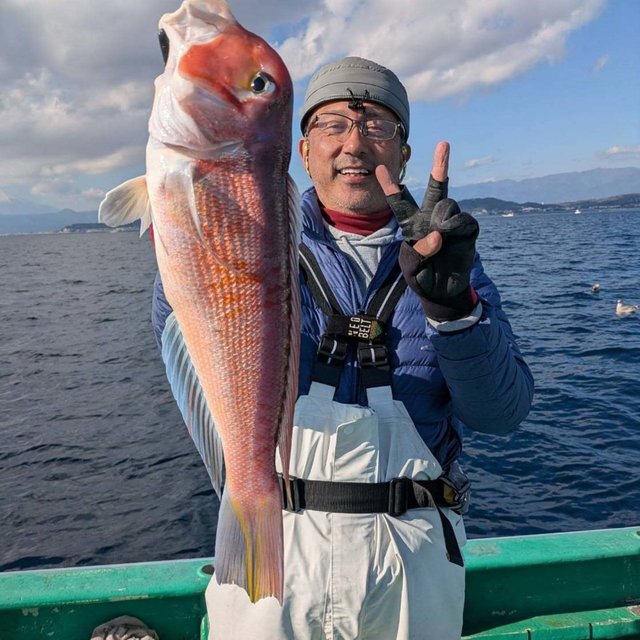 アマダイ(アカアマダイ)