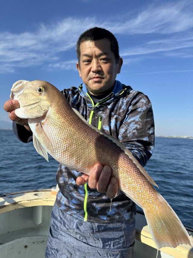 アマダイ(アカアマダイ)