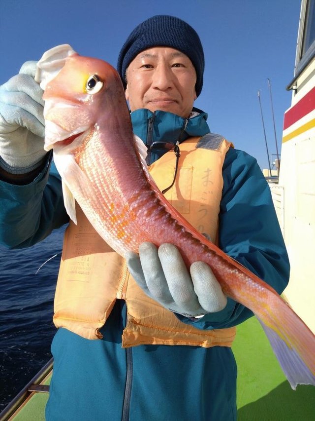 アマダイ(アカアマダイ)