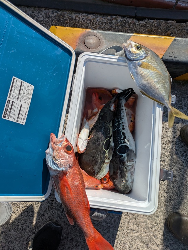 アカムツ・トラフグ