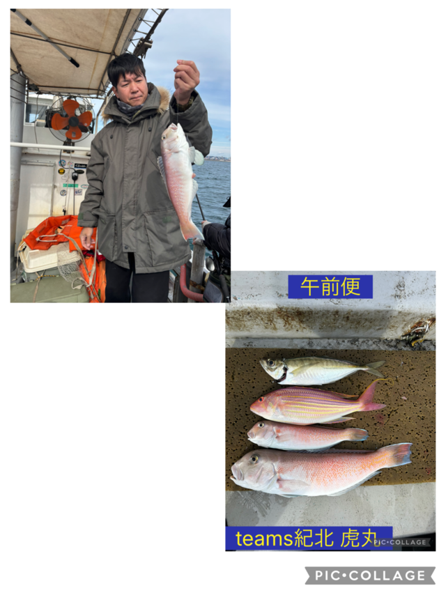 アジ(マアジ)・シロアマダイ・イトヨリ(イトヨリダイ)