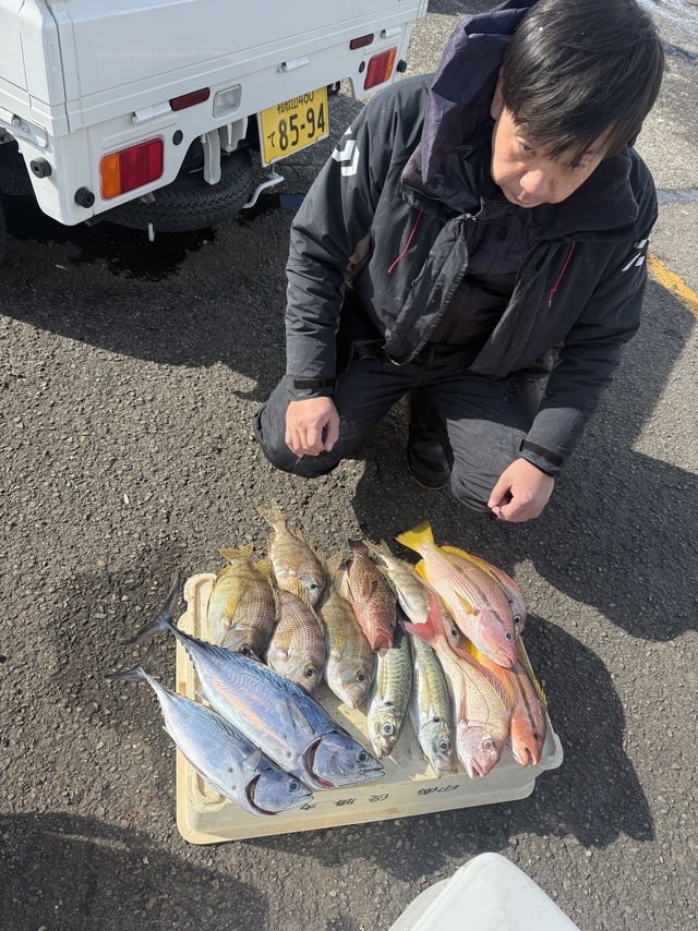 マアジ・メイチダイ・ヤイトカツオ(スマ)