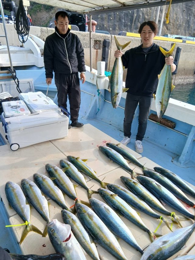 ブリ・ヒラス(ヒラマサ)