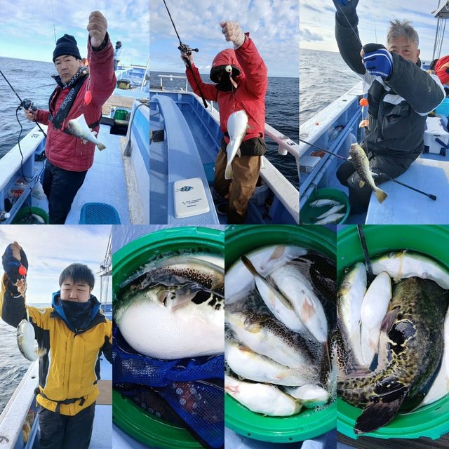 ショウサイフグ