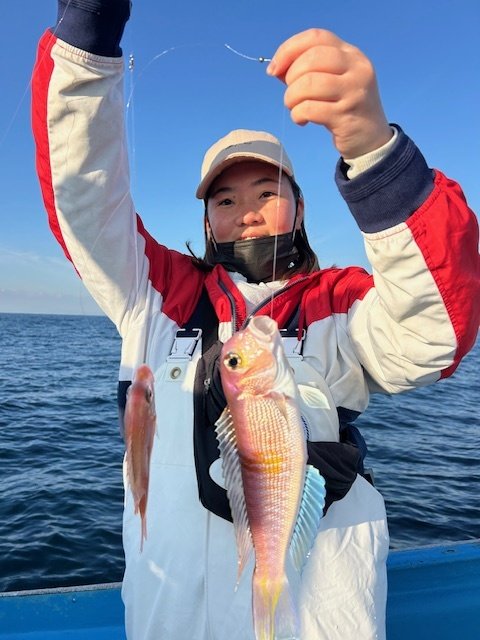 アマダイ(アカアマダイ)