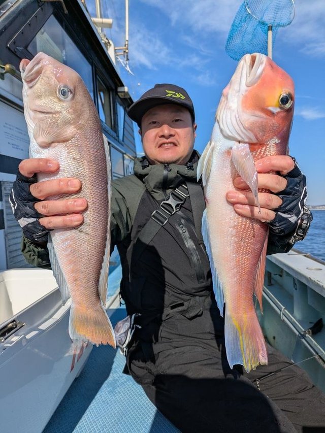 アマダイ(アカアマダイ)・シロアマダイ