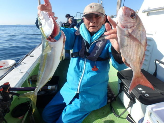 マダイ・イナダ(ブリ)