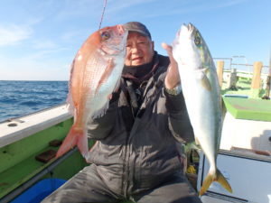 マダイ・イナダ(ブリ)