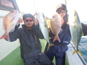 マダイ・イナダ(ブリ)