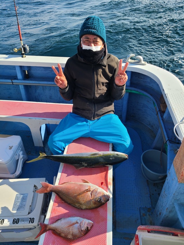 マダイ・ワラサ(ブリ)