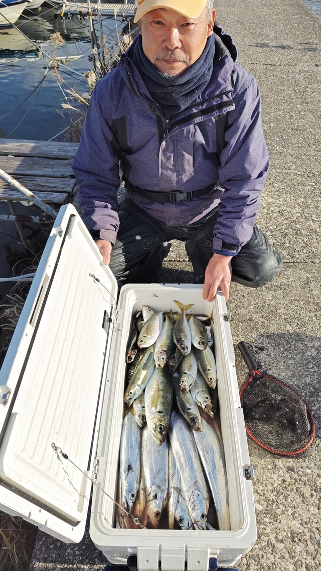 アジ(マアジ)・タチウオ