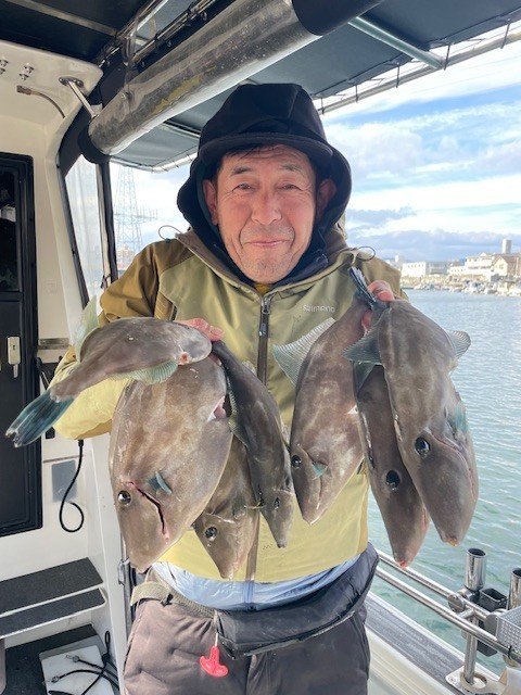 ウマヅラ(ウマヅラハギ)