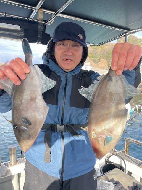 ウマヅラ(ウマヅラハギ)